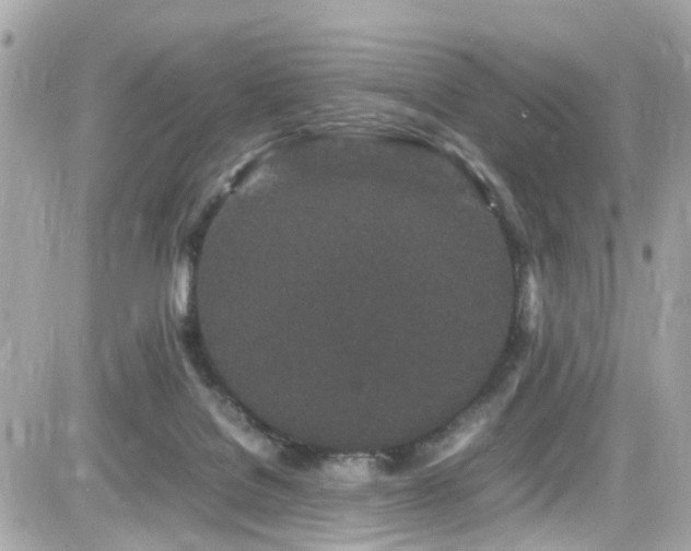 X0000082200076200701191453