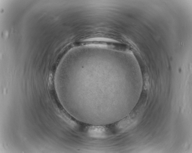 X0000082200077200701191453