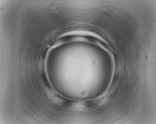 X0000082200078200701191453