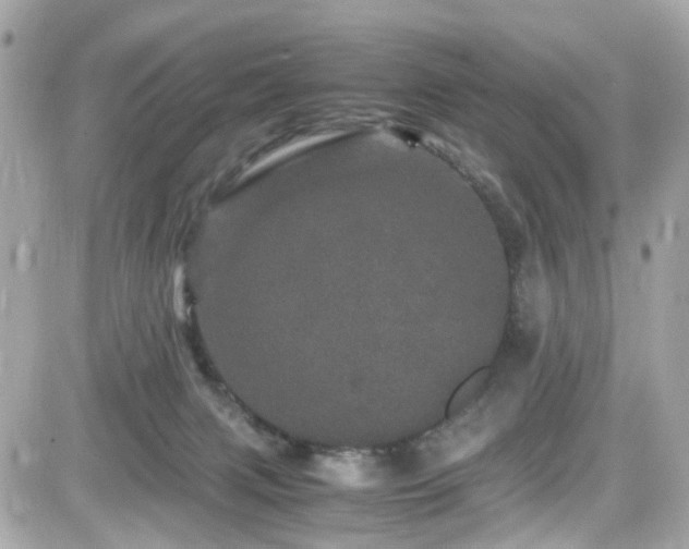 X0000082200079200701191453