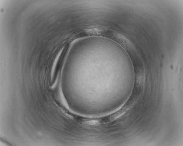 X0000082200081200701191453