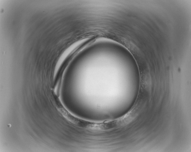 X0000082200082200701191453