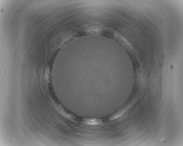 X0000082200083200701191453