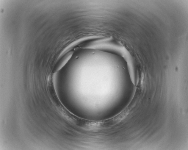 X0000082200084200701191453