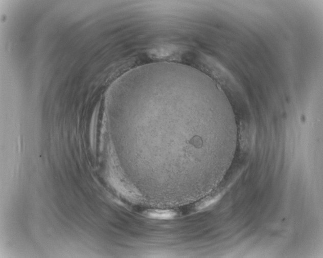 X0000082200085200701191453