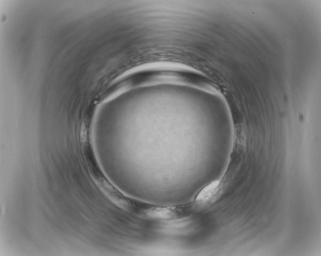 X0000082200086200701191453