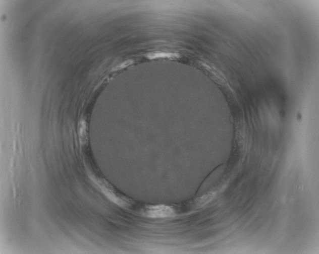 X0000082200087200701191453