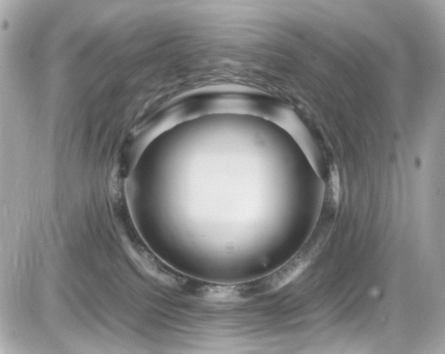 X0000082200088200701191453