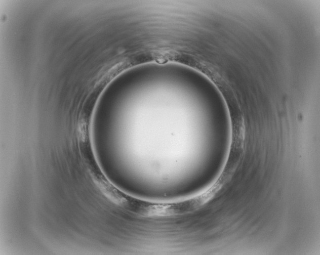 X0000082200090200701191453