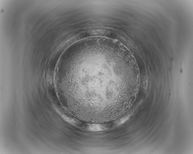 X0000082200091200701191453