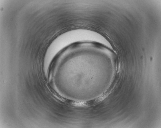 X0000082200093200701191453