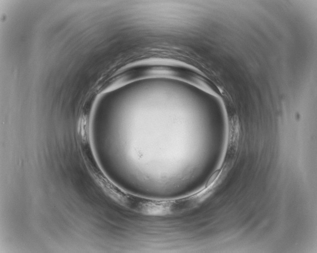 X0000082200094200701191453