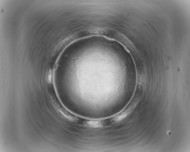 X0000082200095200701191453