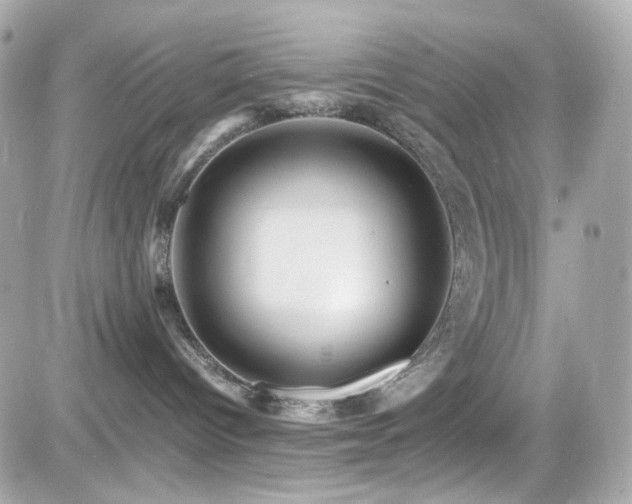 X0000082200096200701191453