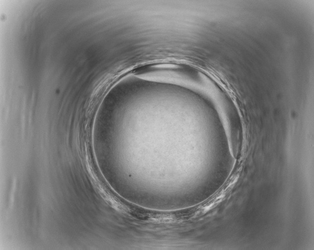 X0000082200097200701191452