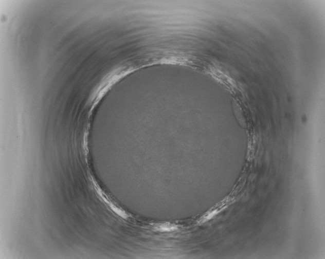 X0000082200098200701191452