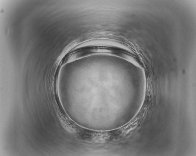 X0000082200099200701191452