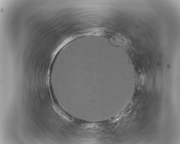 X0000082200100200701191452