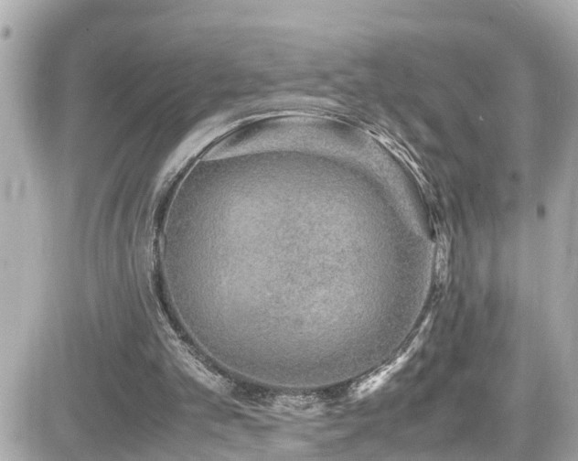 X0000082200101200701191452