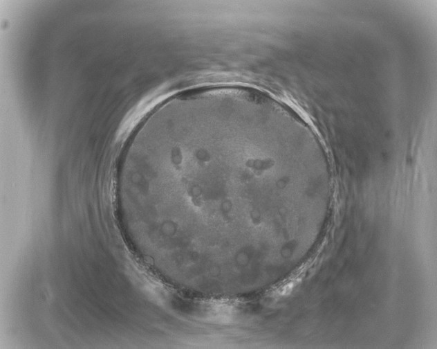 X0000082200103200701191452