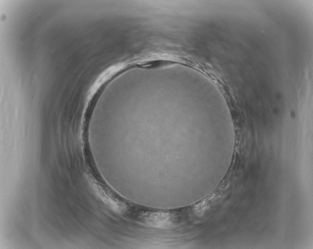 X0000082200104200701191452