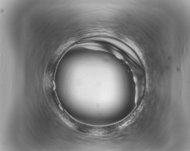 X0000082200105200701191452