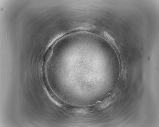 X0000082200106200701191452