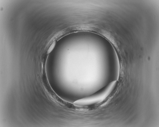 X0000082200109200701191452