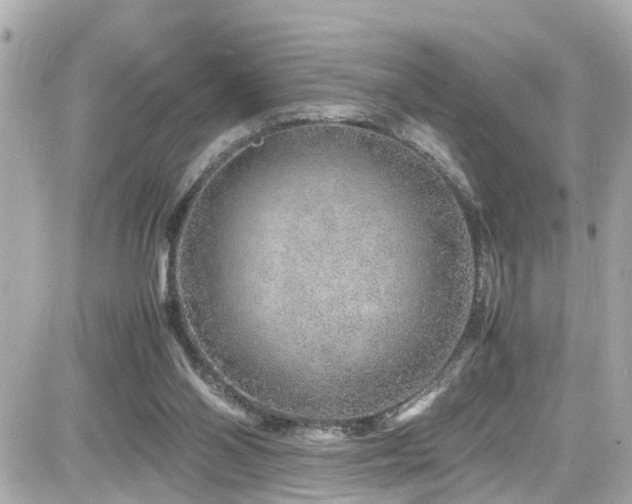 X0000082200110200701191452