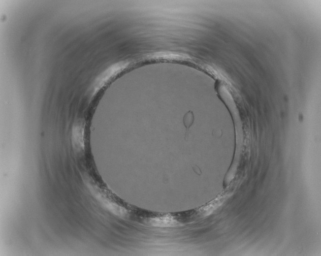 X0000082200112200701191452