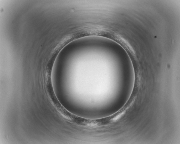 X0000082200113200701191452