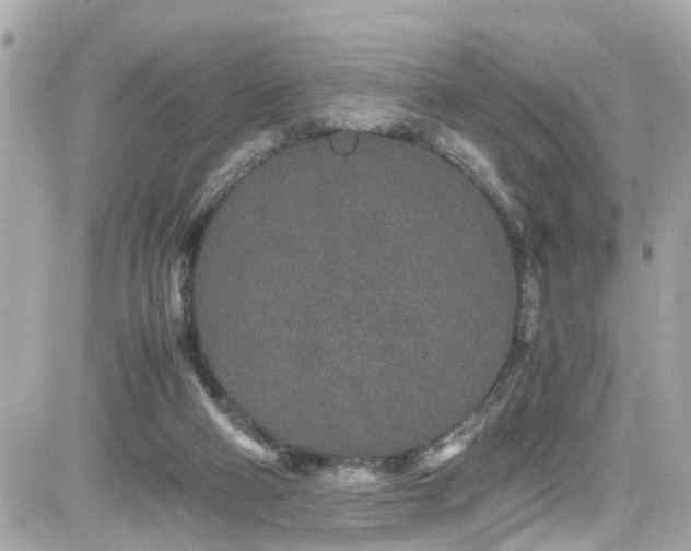 X0000082200114200701191452