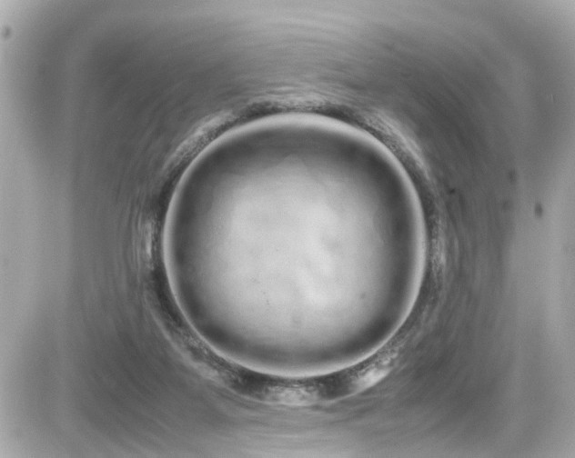 X0000082200115200701191452