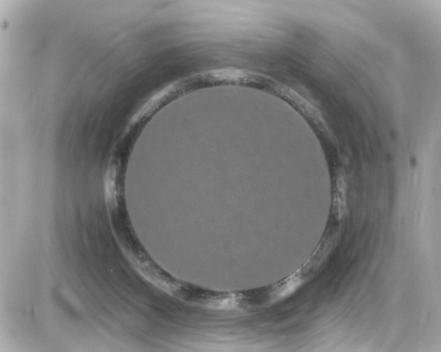 X0000082200116200701191452