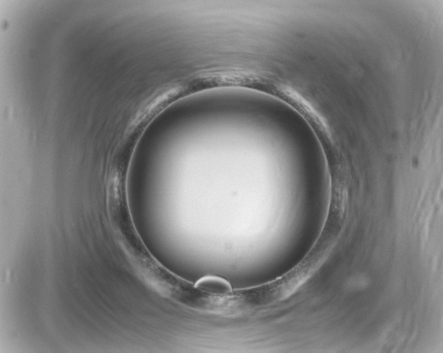 X0000082200117200701191452