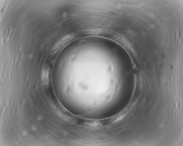 X0000082200118200701191452