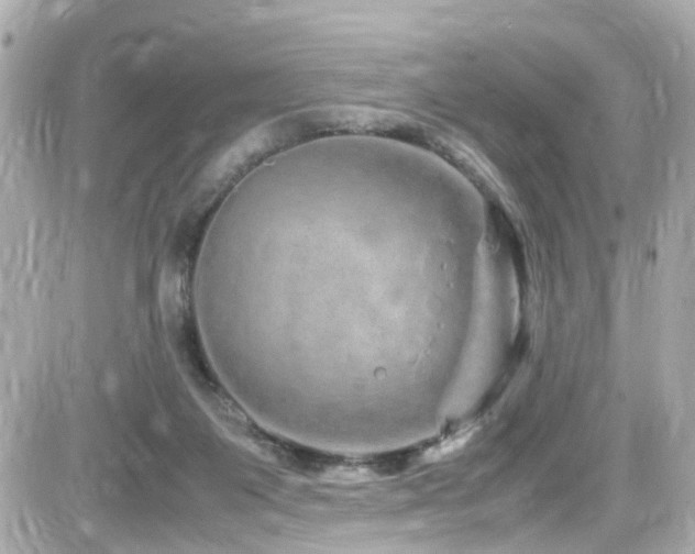 X0000082200119200701191452