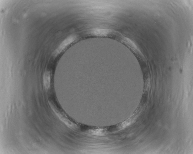 X0000082200120200701191452