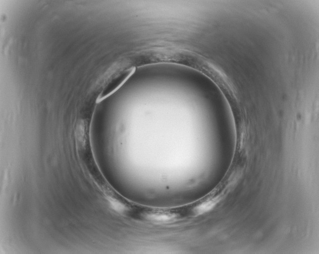 X0000082200121200701191452