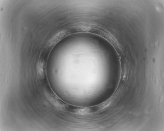 X0000082200122200701191452