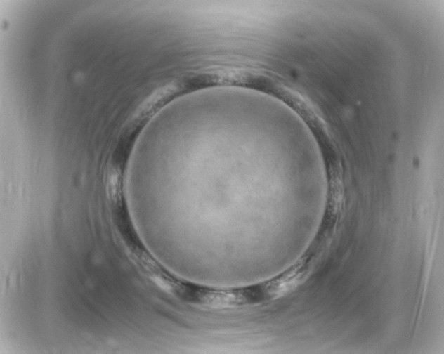 X0000082200123200701191452