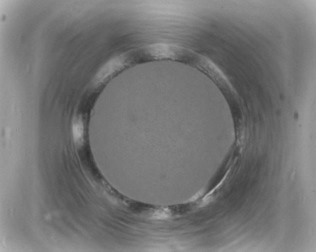 X0000082200124200701191452