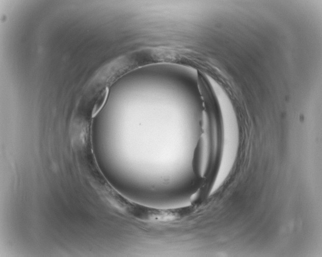 X0000082200125200701191452