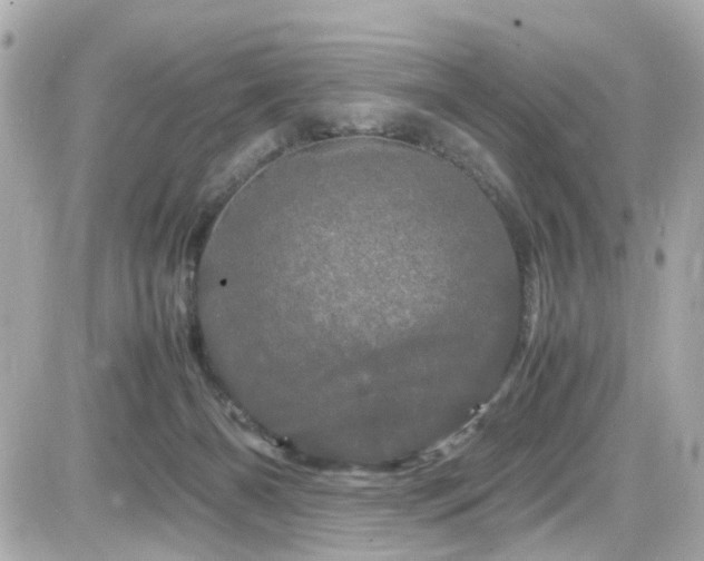 X0000082200126200701191452