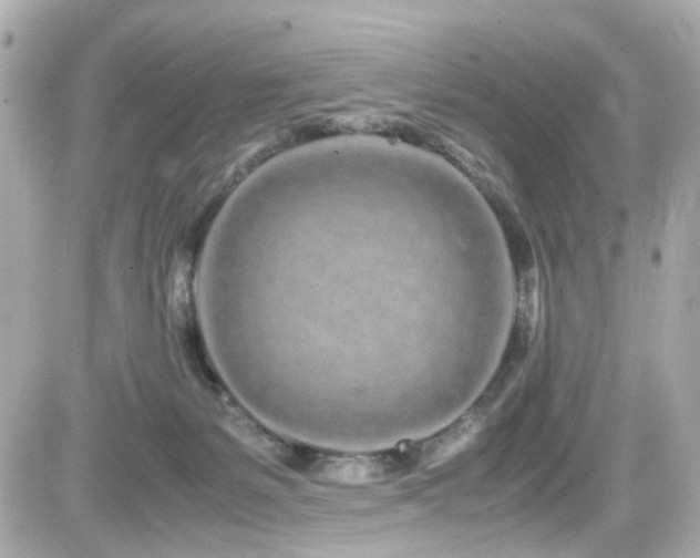 X0000082200127200701191452