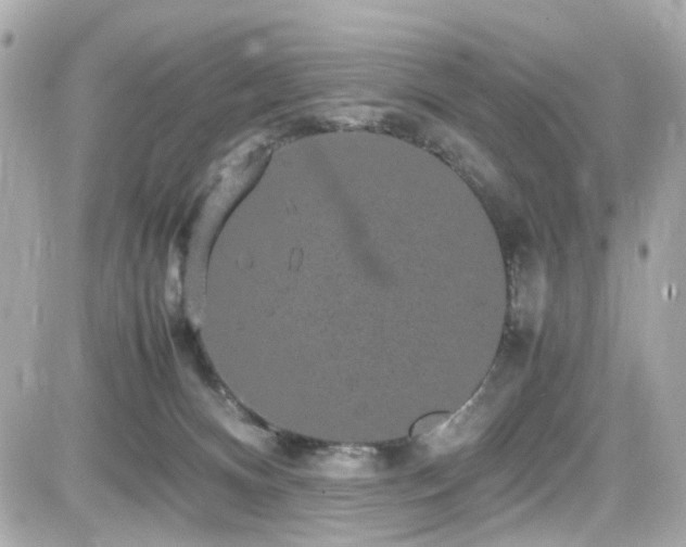 X0000082200128200701191452