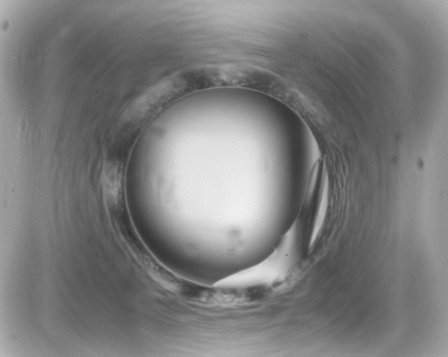 X0000082200129200701191452