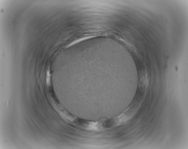 X0000082200130200701191452