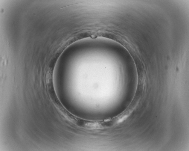 X0000082200133200701191451