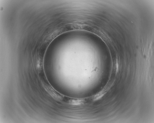 X0000082200134200701191451